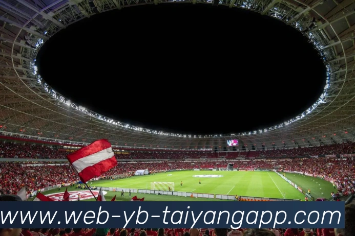 太阳城平台生态图